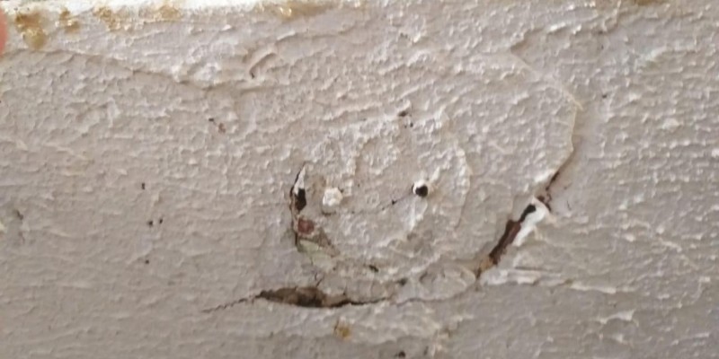 construção, reforma, impermeabilização e pintura.