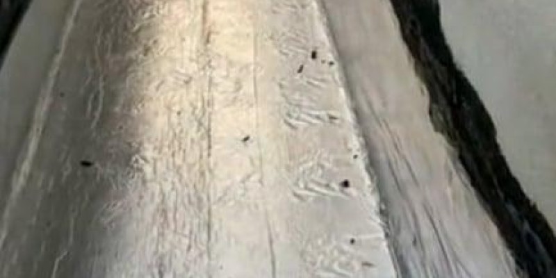 Impermeabilização,  Calhas de Concreto e Telhados.