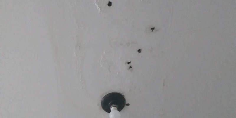 tratamento de goteiras, vazamentos e umidade.