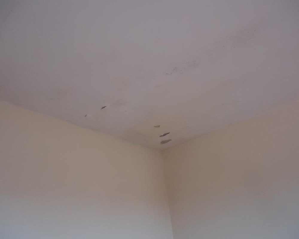 Imagem 28 da galeria Impermeabilização de Laje. para impermeabilizar uma laje, onde já foi impermeabilizado, se faz uma vistoria para avaliá se a impermeabilização antiga está bem aderida caso contrario é preciso remover e fazer uma nova, bem aderida a antiga é só cobrir com 