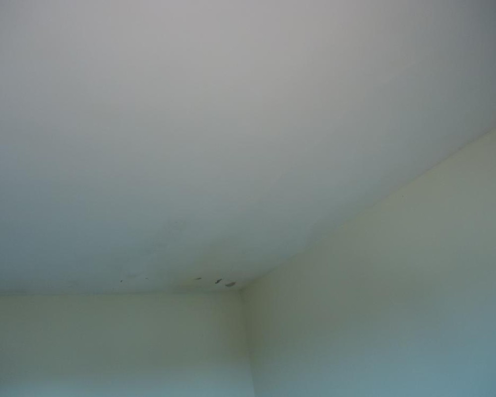 Imagem 26 da galeria Impermeabilização de Laje. para impermeabilizar uma laje, onde já foi impermeabilizado, se faz uma vistoria para avaliá se a impermeabilização antiga está bem aderida caso contrario é preciso remover e fazer uma nova, bem aderida a antiga é só cobrir com 