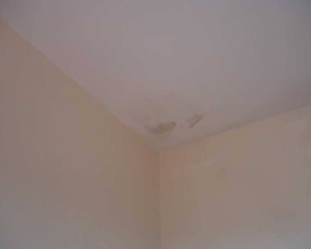 Imagem 25 da galeria Impermeabilização de Laje. para impermeabilizar uma laje, onde já foi impermeabilizado, se faz uma vistoria para avaliá se a impermeabilização antiga está bem aderida caso contrario é preciso remover e fazer uma nova, bem aderida a antiga é só cobrir com 