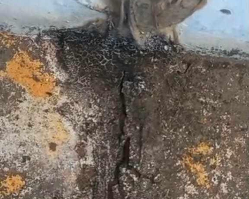 Imagem 17 da galeria Impermeabilização térmica. Impede passagem de água e calor indesejados.