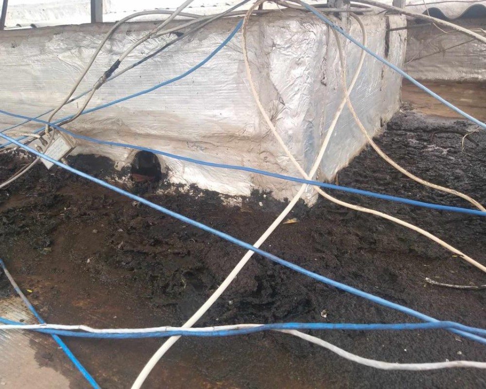 Imagem 127 da galeria Impermeabilização de calhas e telhados, elimina goteiras, calor  e vazamentos.