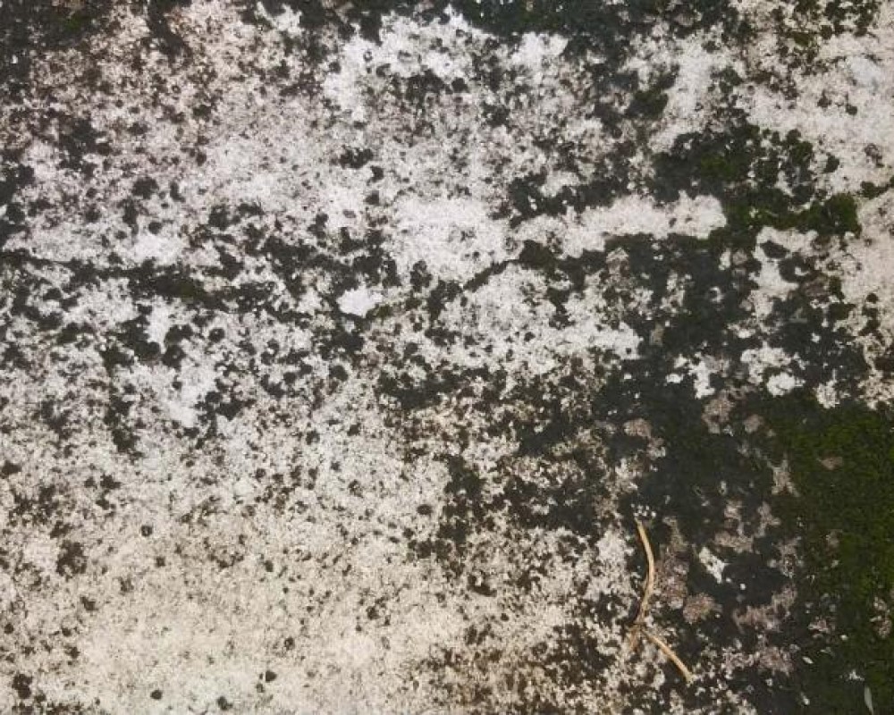 Imagem 38 da galeria Impermeabilização de laje exposta, com borracha liquida térmica