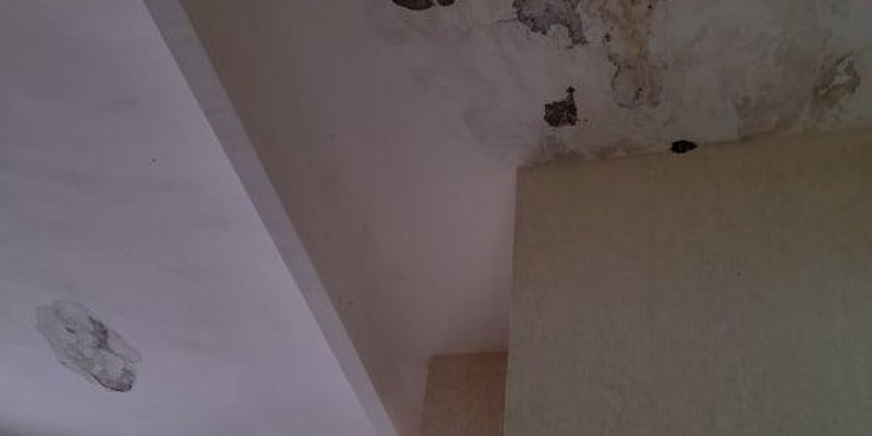 Impermeabilização. tratamento de umidade em parede e laje, garantia de 5 anos. Impermeabilização. tratamento de umidade em parede e laje, garantia de 5 anos.