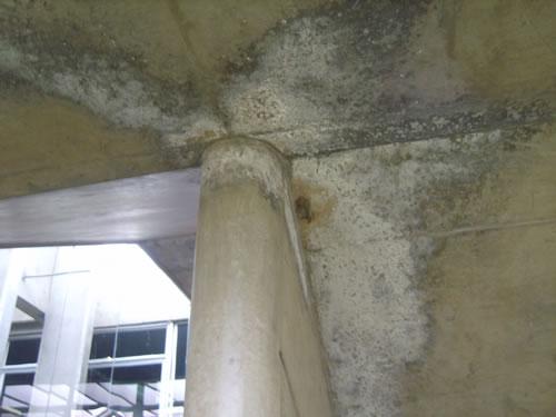 tratamento de umidade.