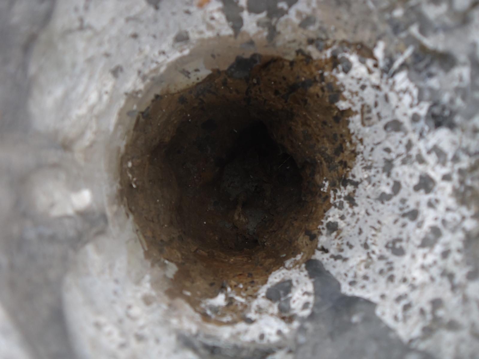 tratamento de ralos e condutores.