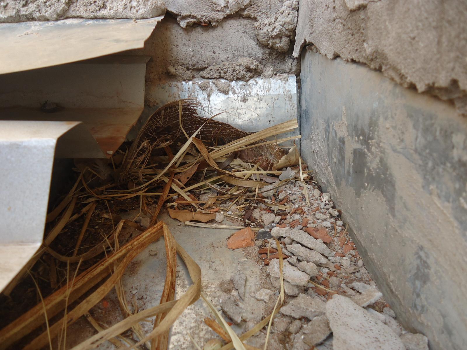 Impermeabilização de Calha galvanizada.