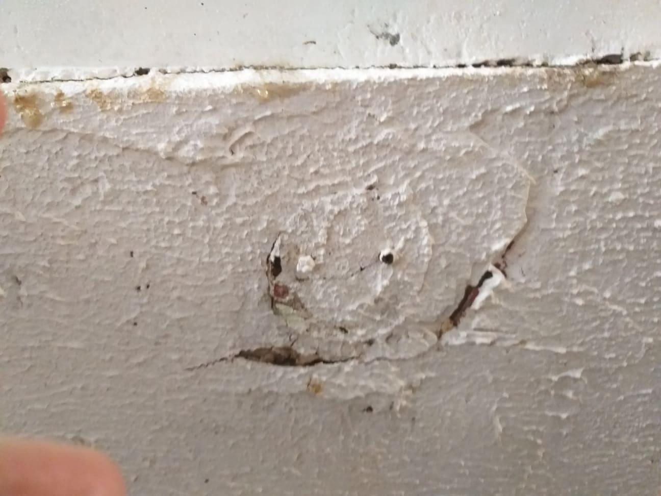 construção, reforma, impermeabilização e pintura.