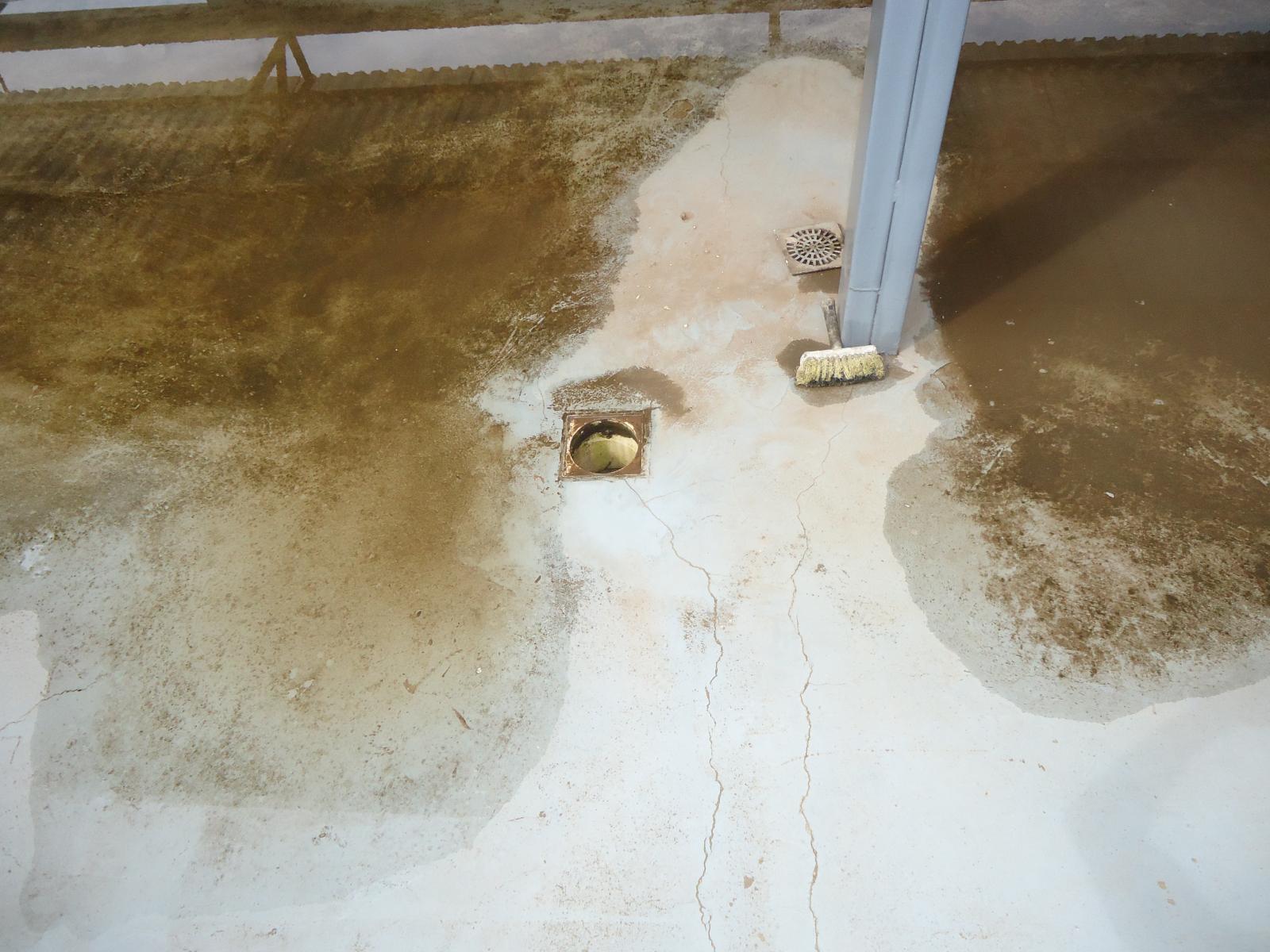 Construção e Reforma.